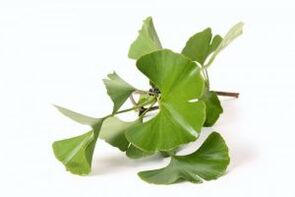 ginko biloba za povećanje penisa